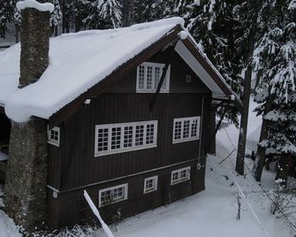 A year-round retreat for adrenaline junkies - Wallace - Building