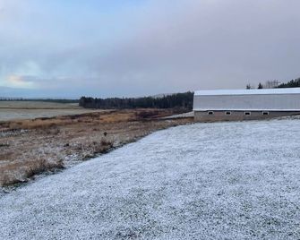 Rocky Brook Acres - Deer Lake - Außenansicht