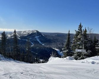 Ski-In/Ski-Out Condo at Lutsen Mtn | Pool, Hot Tub - Lutsen