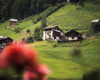 Alpen Hotel Rabbi - Rabbi - Außenansicht