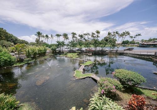 Review of the SCP Hilo Hotel on the Big Island: Eco Friendly and Community  Focused - 2TravelDads