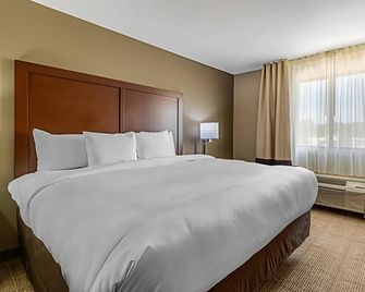 Comfort Inn & Suites Mccomb - McComb - Спальня