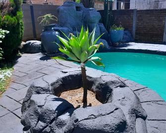 Pumua Guesthouse And Spa - Roodepoort - Piscina