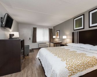 Days Inn by Wyndham Harrisburg North - Harrisburg - Phòng ngủ