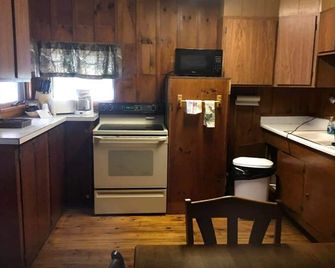 Family-Friendly Cabin Rental near Schroon Lake in the Adirondacks of New York - Schroon Lake - Kitchen