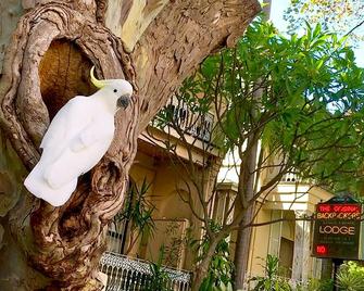 Original Backpackers - Sydney