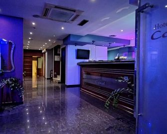 Carol Hotel - Piraeus - דלפק קבלה