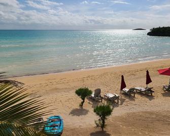Trela Sands #3 In Eleuthera Bahamas 1 Bedroom Studio Right On The Beach - North Palmetto Point - Spiaggia