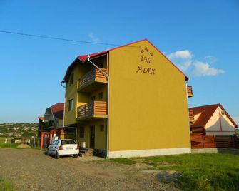 Vila Alex - Tăşnad - Building