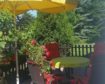 Holiday house in a park-like private property - Auerbach im Vogtland - Patio
