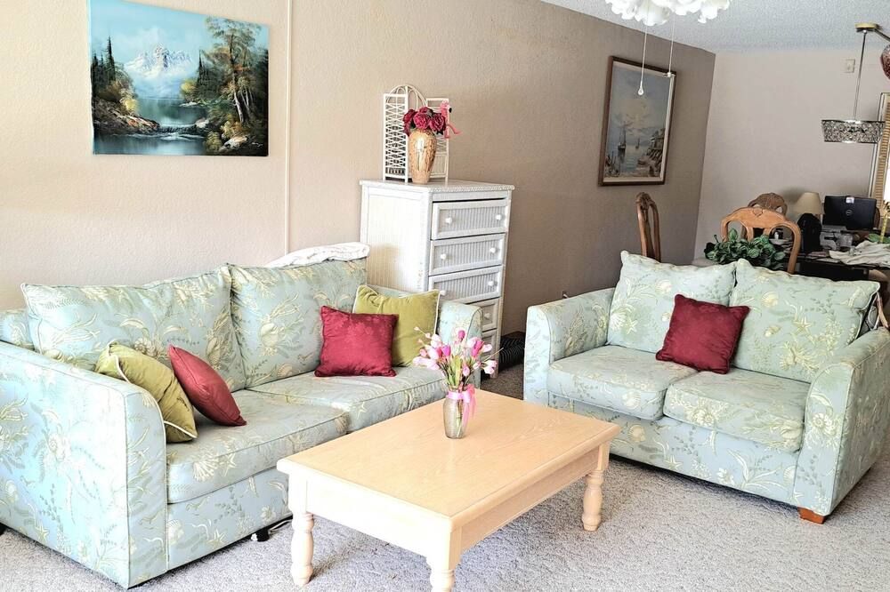 Sunny and spacious condo, located near Edison Mall, fully furnished. - فورت ميرس - غرفة معيشة