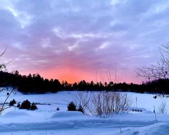 8 Bed - Private Oasis in Lake of Bays-Muskoka - Bondi Village - Vista del exterior