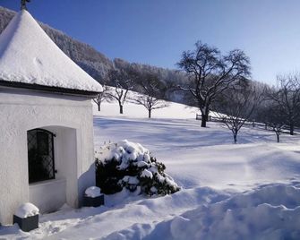 Panoramahof Manzberg - Mondsee