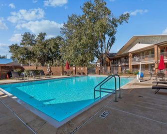 Ramada by Wyndham Temple Terrace/Tampa North - Tampa - Uima-allas