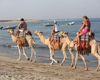 Abu Dabbab Lodge - Marsa Alam