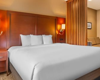 Comfort Suites Florence - Cincinnati South - Florence - Schlafzimmer