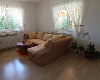 Guesthouse Abrlic - Drežnik Grad