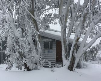 On mountain accommodation - Mount Buller - Vista esterna