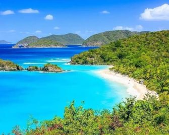 Villa Island Paradise - St. John - Beach