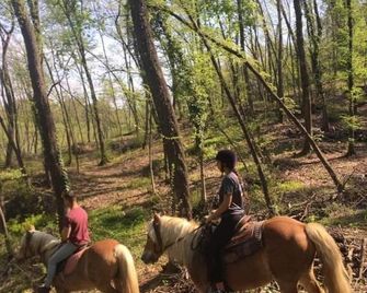 아치엔다 아그리투리스티카 몬테 테르미네 - 리오베지오