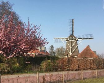 Weidemanssheide - Ommen - Outdoor view