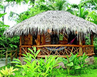 Hotel La Costa de Papito - Puerto Viejo (Talamanca) - Utsikt