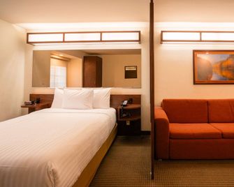 Microtel Inn & Suites by Wyndham Ciudad Juarez/US Consulate - Ciudad Juárez - Schlafzimmer