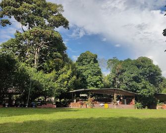 Cabañas Horeb - Tena - Outdoor view