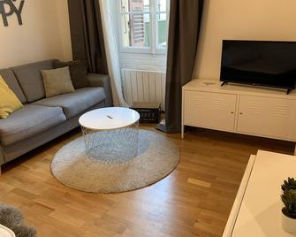 Comfort and Calm in the heart of Annecy (30m2 hyper center) - Annecy - Living room