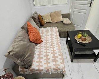 1-Joli appartement quartier saint-Anne, Reims - Reims - Salon