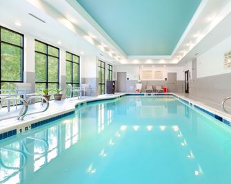 Hampton Inn Acworth - Acworth - Zwembad