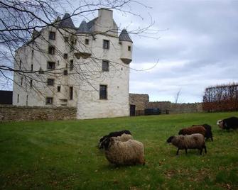 Faside Estate - Musselburgh