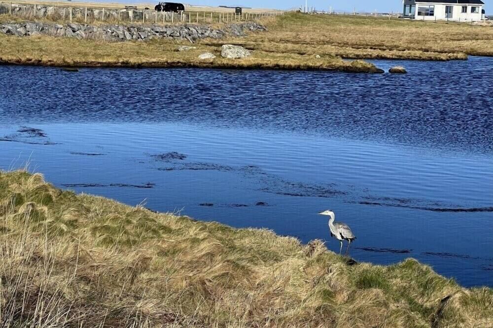Gualan Sands - Isle of Benbecula