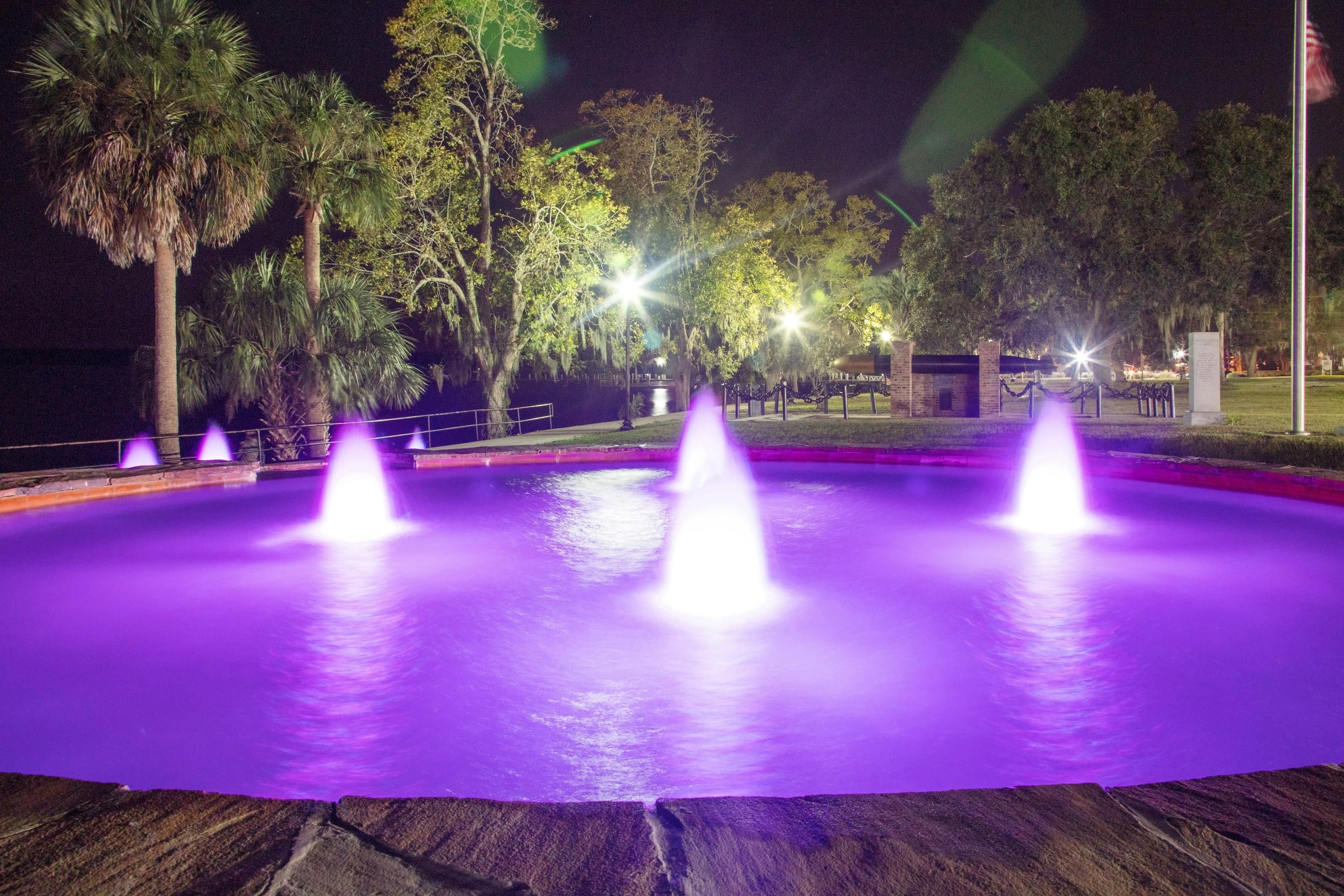 Hampton Inn Palatka - Palatka - Piscina