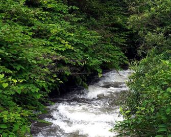 Catskill Seasons Inn - Shandaken - Outdoors view