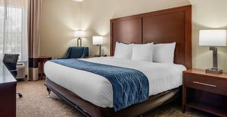 Comfort Inn and Suites Junction City - near Fort Riley - Junction City - Bedroom