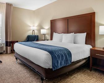 Comfort Inn and Suites Junction City - near Fort Riley - Junction City - Спальня