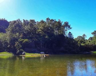 See Too Ville - Nature Lodge Sagada - Sagada