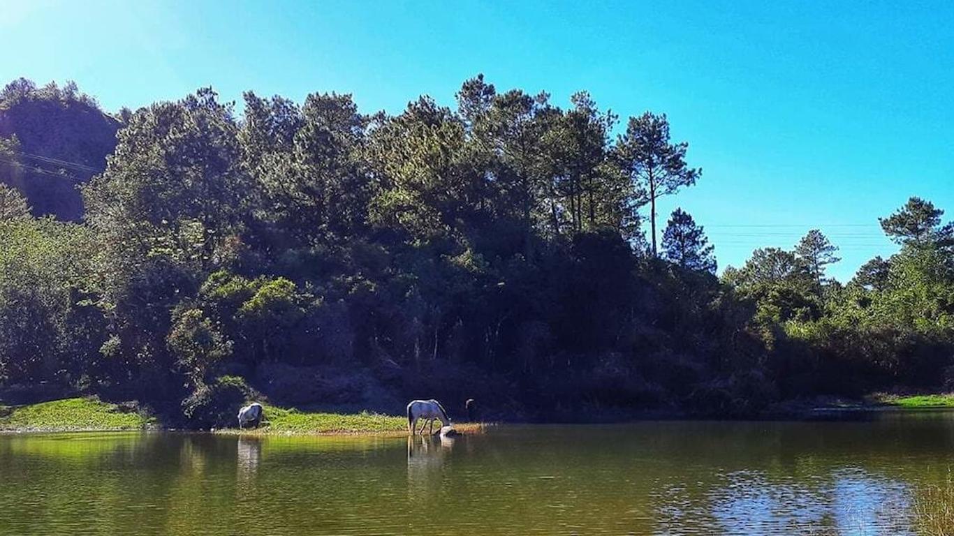 See Too Ville - Nature Lodge Sagada