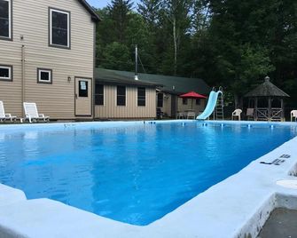 Slide Mountain Forest House - Oliverea - Piscina