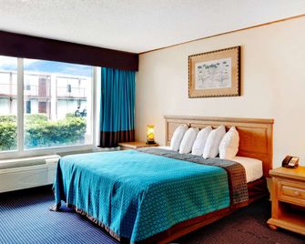 Days Inn by Wyndham Lafayette Near Lafayette Airport - לאפאייט - חדר שינה