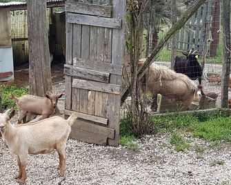 Agriturismo Cisogna - Anagni