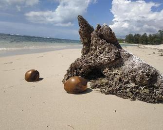 Modern, Welcoming Studio, Ocean View in Juan Dolio - Juan Dolio - Beach