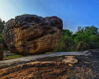 Yala Jungle Haven - Yala