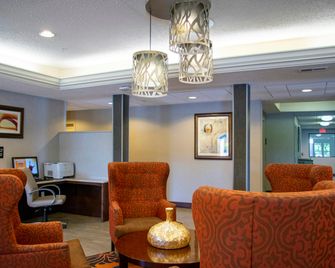 Hampton Inn St. Louis/Chesterfield - Chesterfield - Lounge
