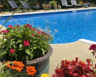 3 Bedroom Home Pool 2 Miles from Crater of Diamonds - Murfreesboro - Pool