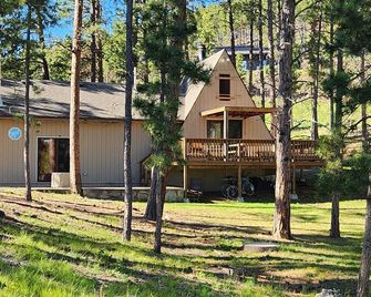 Cozy cabin in the Hills - Hill City - Building