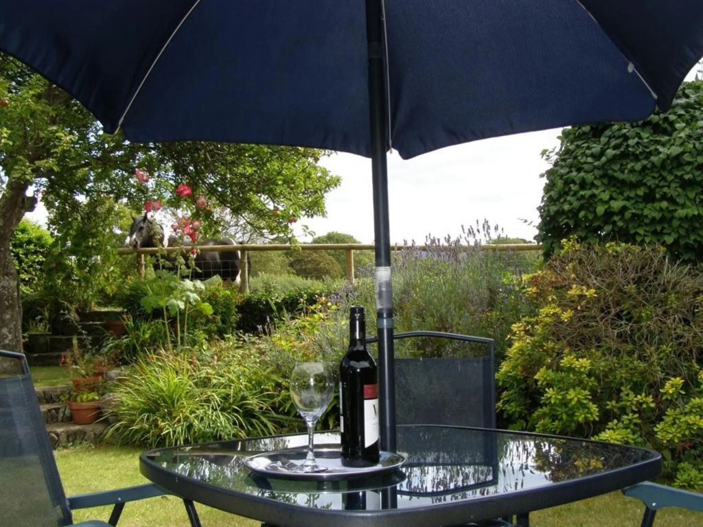 Tudor Cottage - Minehead - Patio