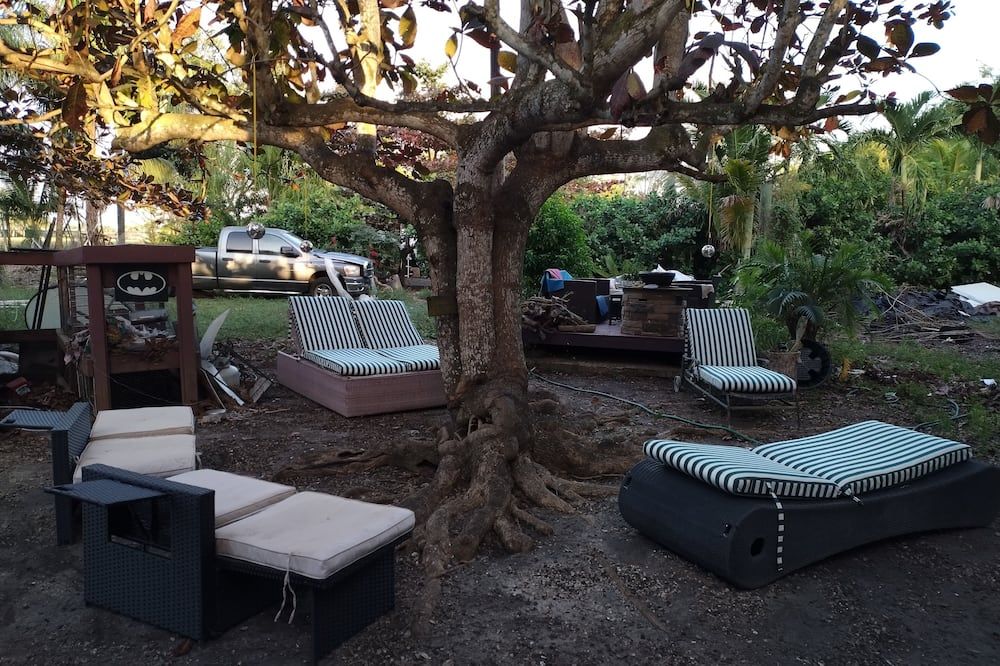 Bed and fresh breakfast and green areas.contac for natural farm - מיאמי - פטיו