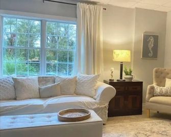 Cozy safe 1 BR Private apartment Traveling Professionals near skiing Hospitals - Exeter - Living room